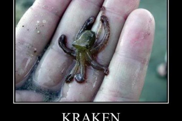 Кракен даркнет kraken link24 info
